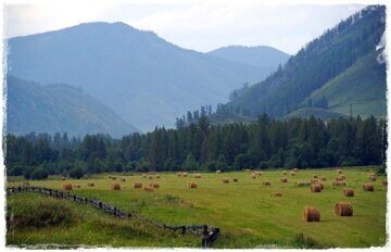 mountain-altai-2107455_960_720